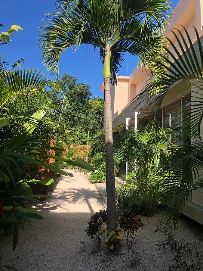 11Br I Hacienda Zalama Τουλούμ
